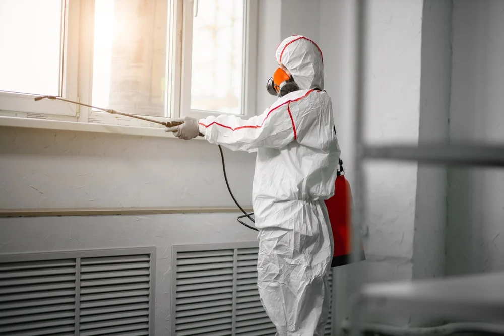 Professional mold remediation services in White Cloud, MI